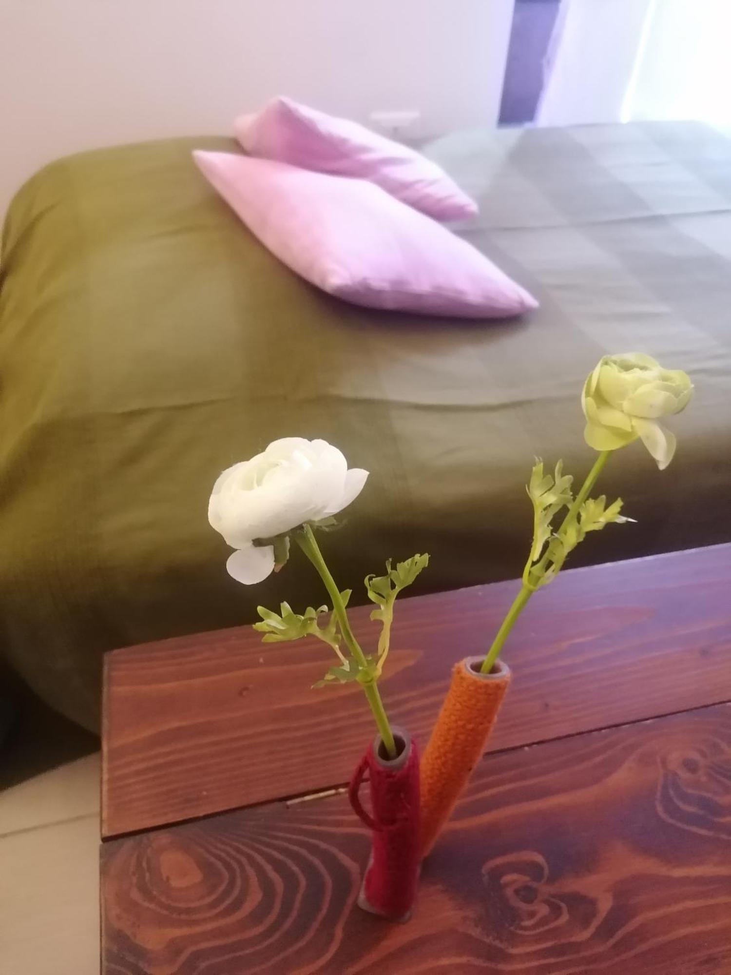 Calimero Luxury Suite 巴勒莫 外观 照片